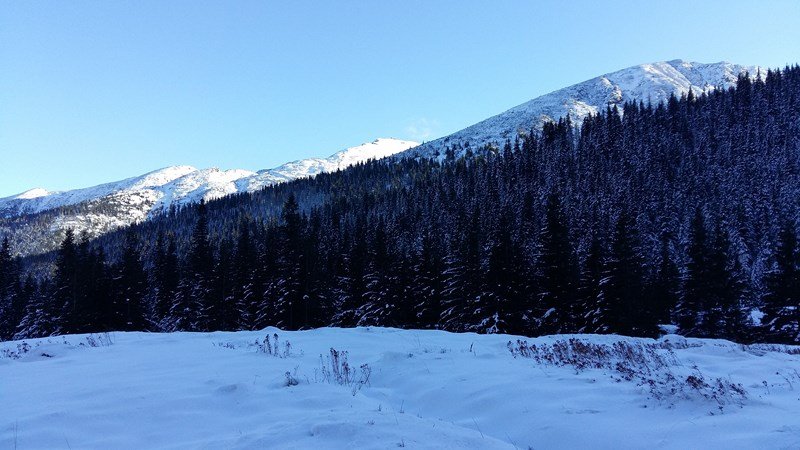 Widok na Kasprowy z Hali Kondratowej 