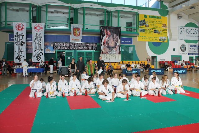 a karate 3