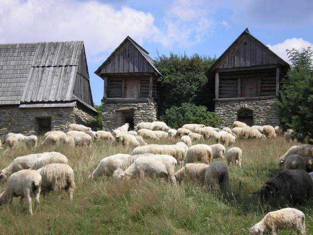 Jezioro Czorsztyńskie