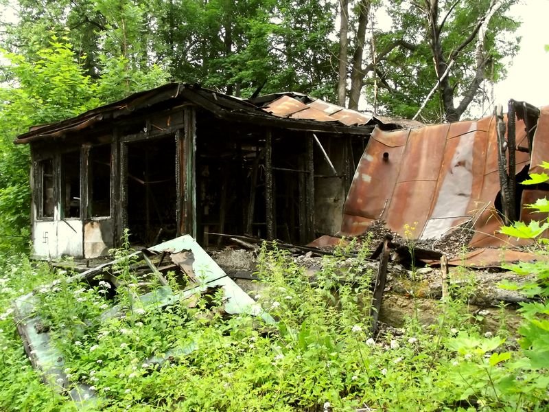 szpitru8