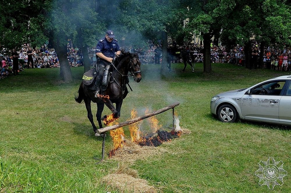 szkolkat185