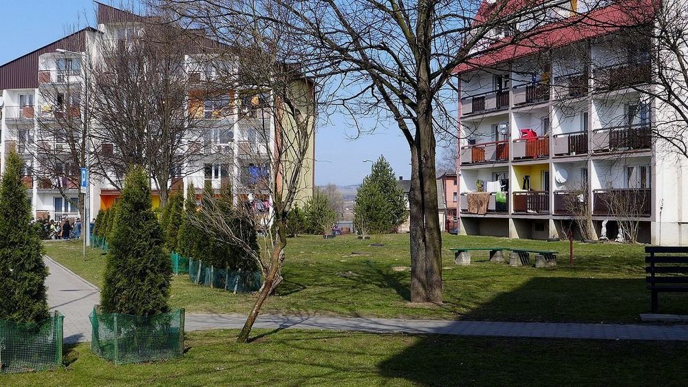projro2