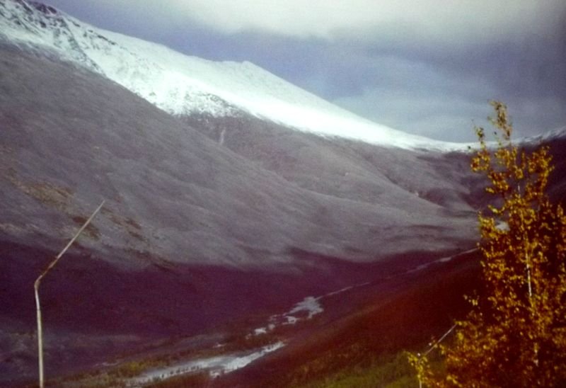 rosdusz13
