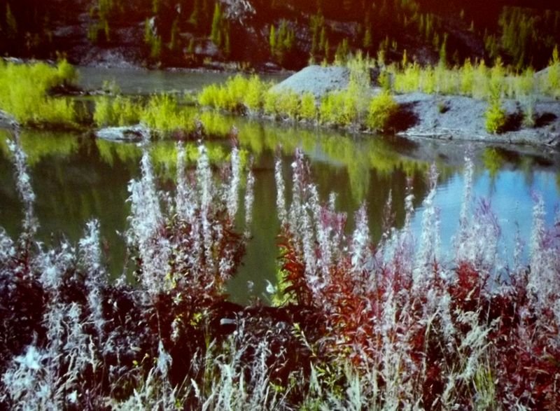 rosdusz6