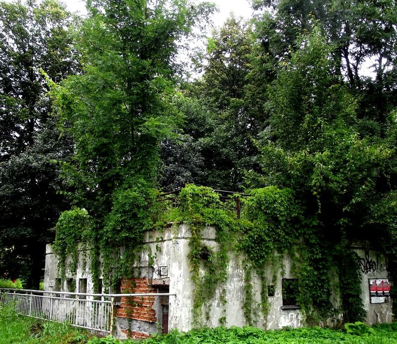 koproz2