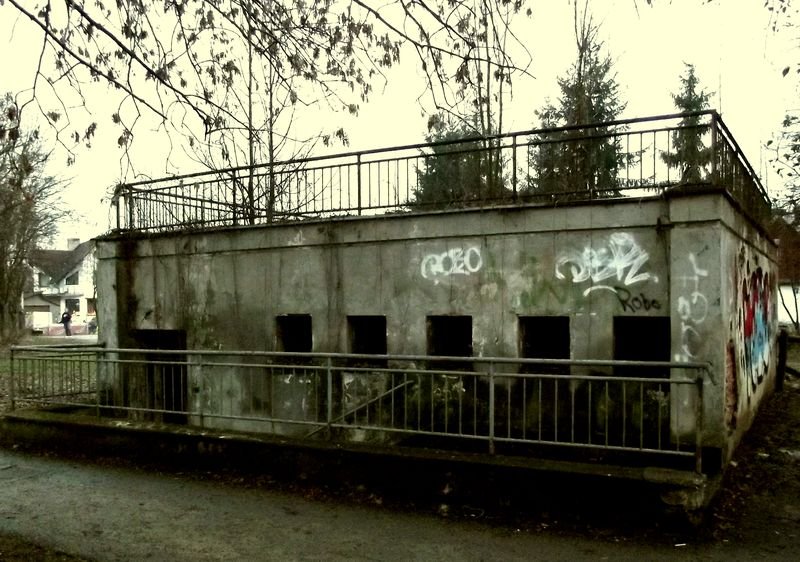 koproz6