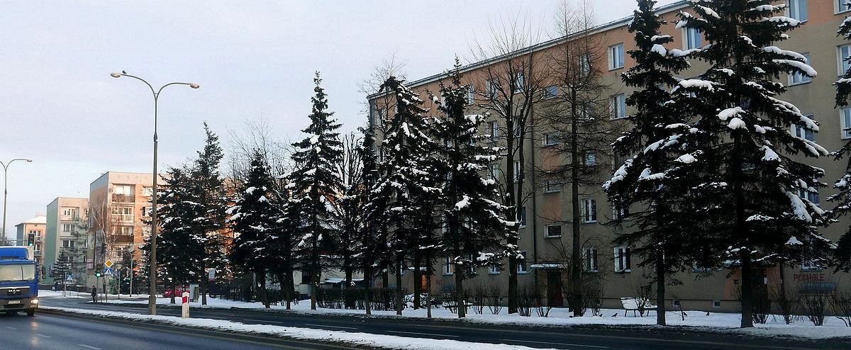 palusz182