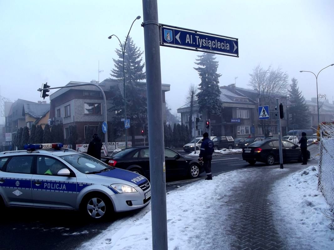 swiatłastycz172