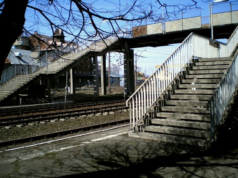 szalskan6
