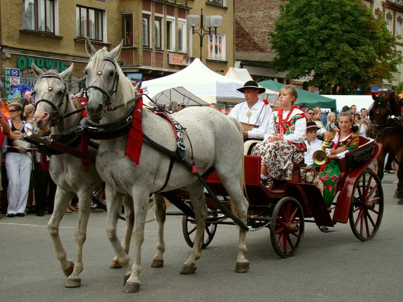 zmianorg2