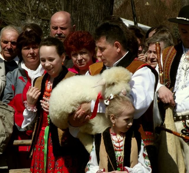 Po praniu - i jagnię ładniejsze.... Anna Szopińska