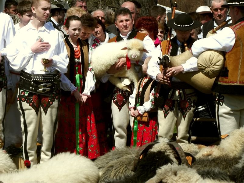 Zanim ruszą na wypas Anna Szopińska