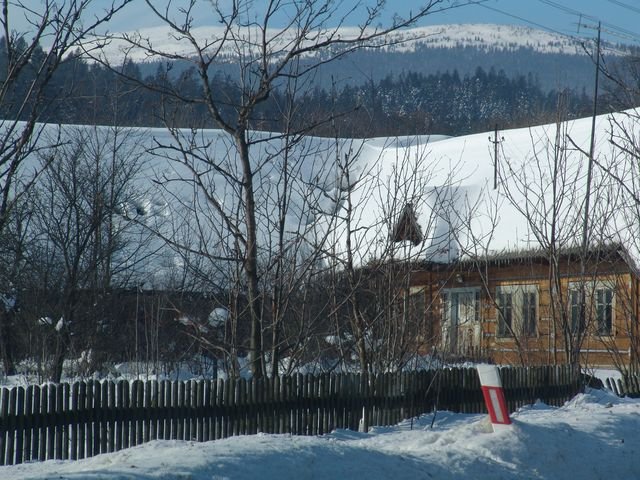 Zubrzyckie widoki