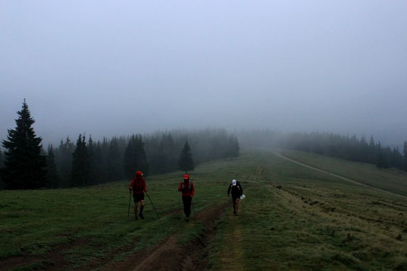 karpatwy42