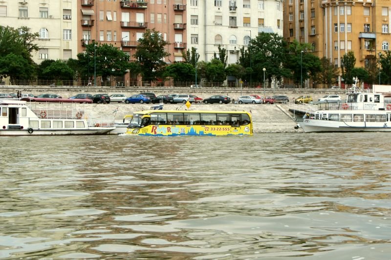 karpatwy59
