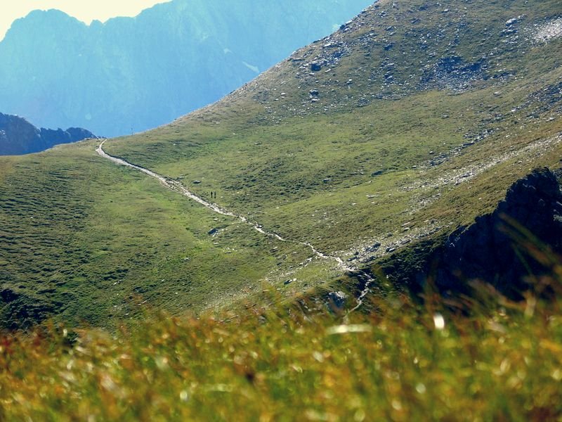 karpatwy67
