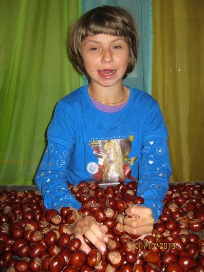 chat 006