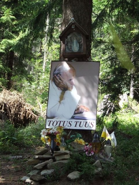 W drodze na Turbacz fot. Anna Giżycka W drodze na Turbacz fot. Anna Giżycka