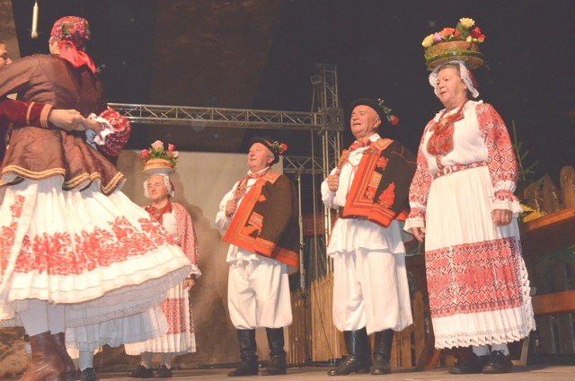 Występ zespołu Bosiljak fot. Anna Giżycka