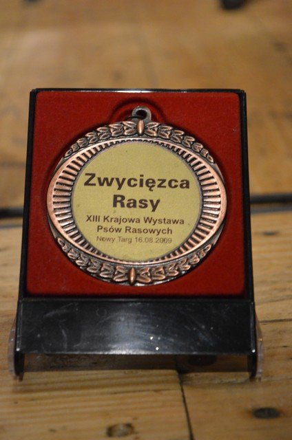 Tydzień Zwierząt Nowy Targ 034
