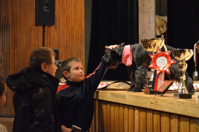 Tydzień Zwierząt Nowy Targ 056