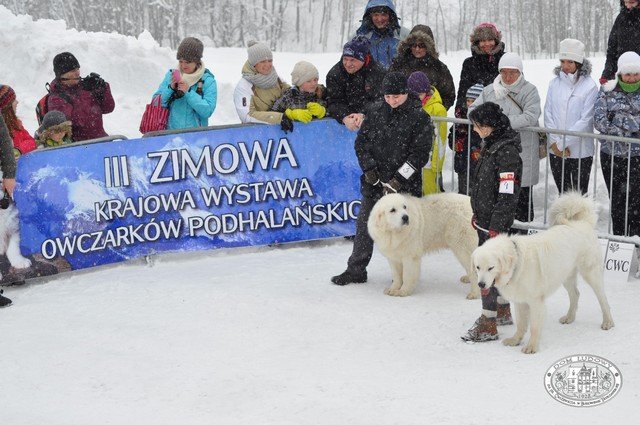 goralski karnawal 003