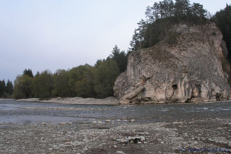 bialka nowabiala1