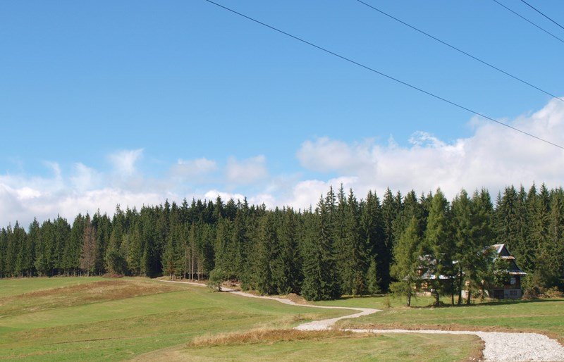 Szlak pieszo- rowerowy Szlak pieszo- rowerowy