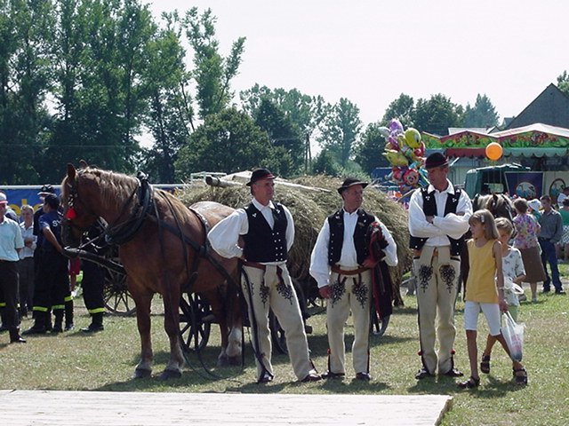 2002 rok 2002 rok