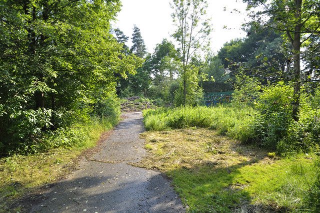  DSC2063