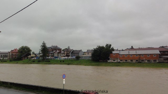 DSC00850