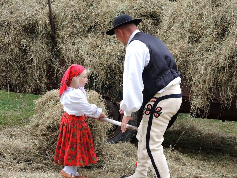 mini obraz 009 wynik