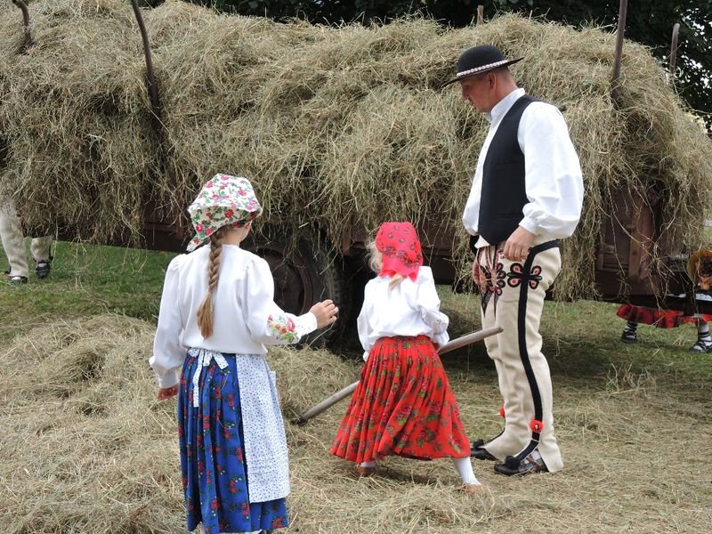 mini obraz 010 wynik