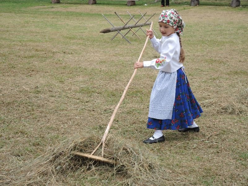 mini obraz 022 wynik
