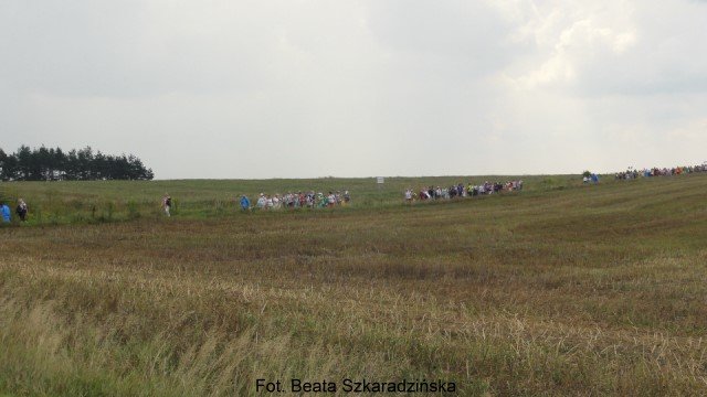 DSC01452