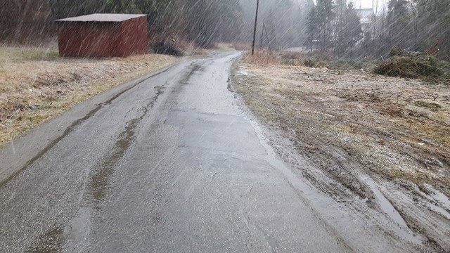 20160210_134123_Kopiowanie_Kopiowanie_Kopiowanie