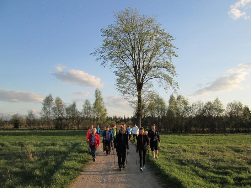 6 Kopiowanie
