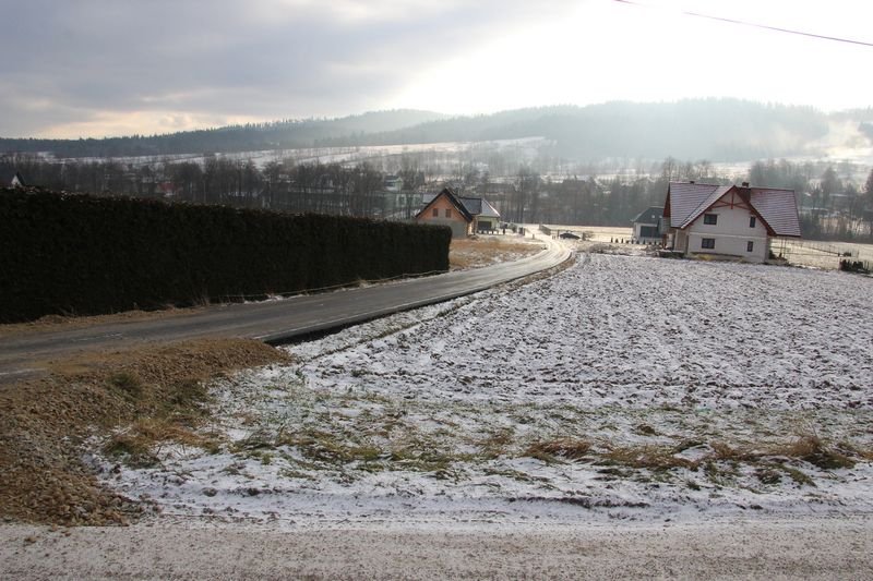 koło Gąsienicy