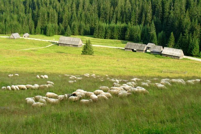 konkurs5 Kopiowanie