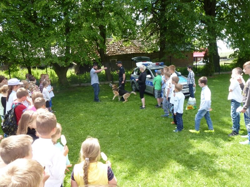 P1080166 wynik