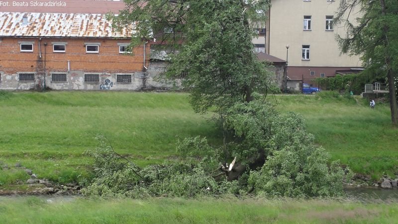DSC00160 wynik