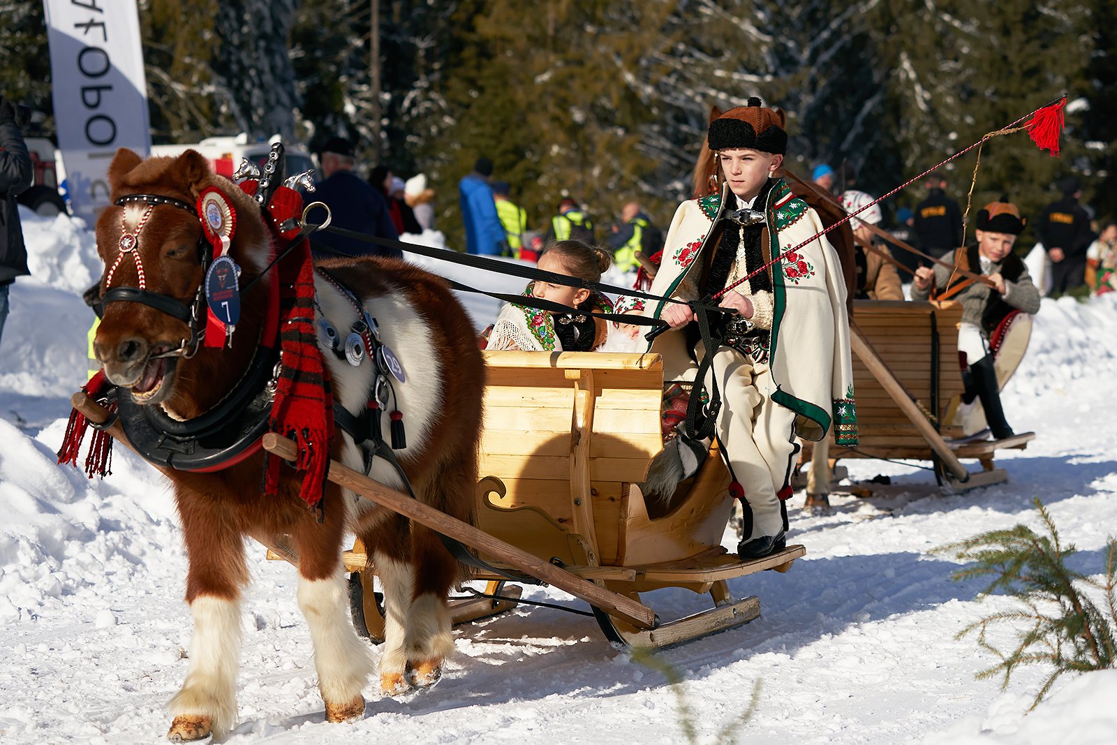 YIP029922020_02_09_kumoterki_bukowina