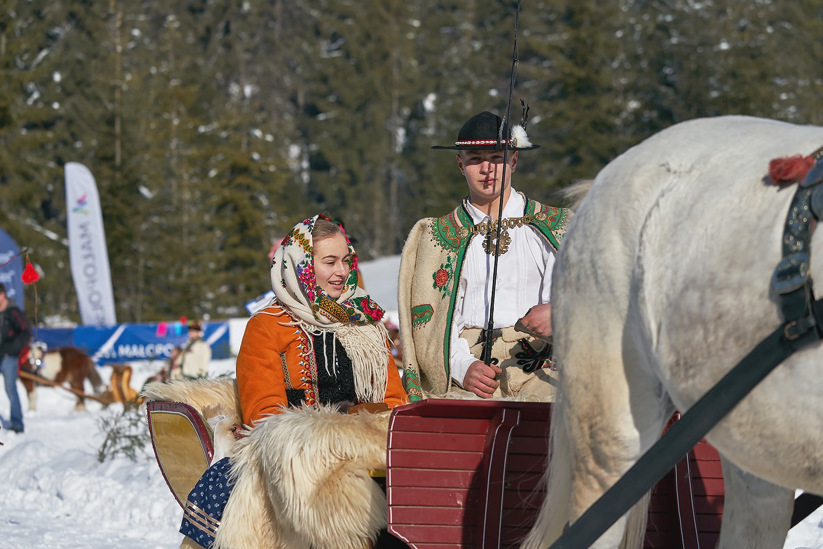 YIP030822020_02_09_kumoterki_bukowina