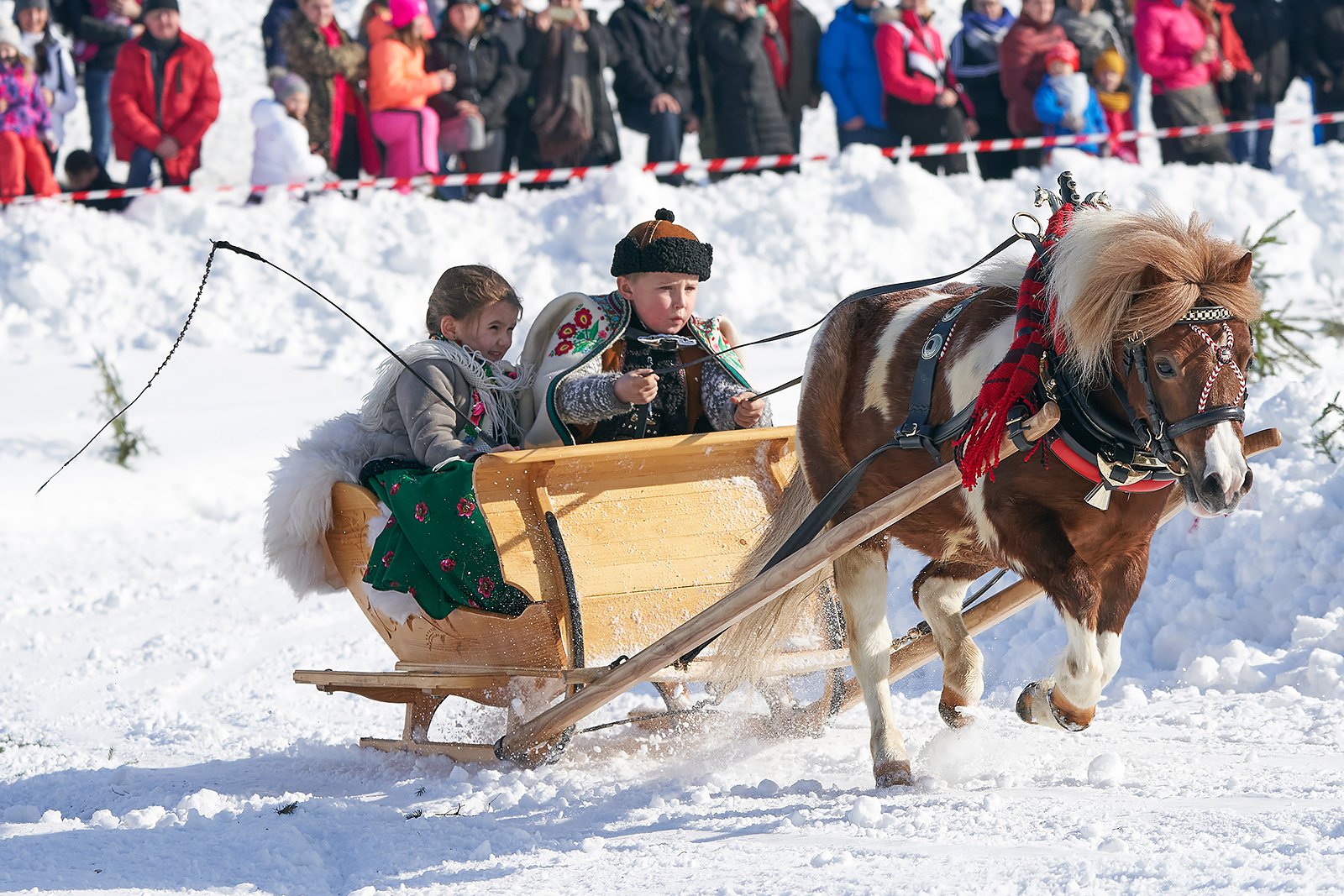 YIP031822020_02_09_kumoterki_bukowina