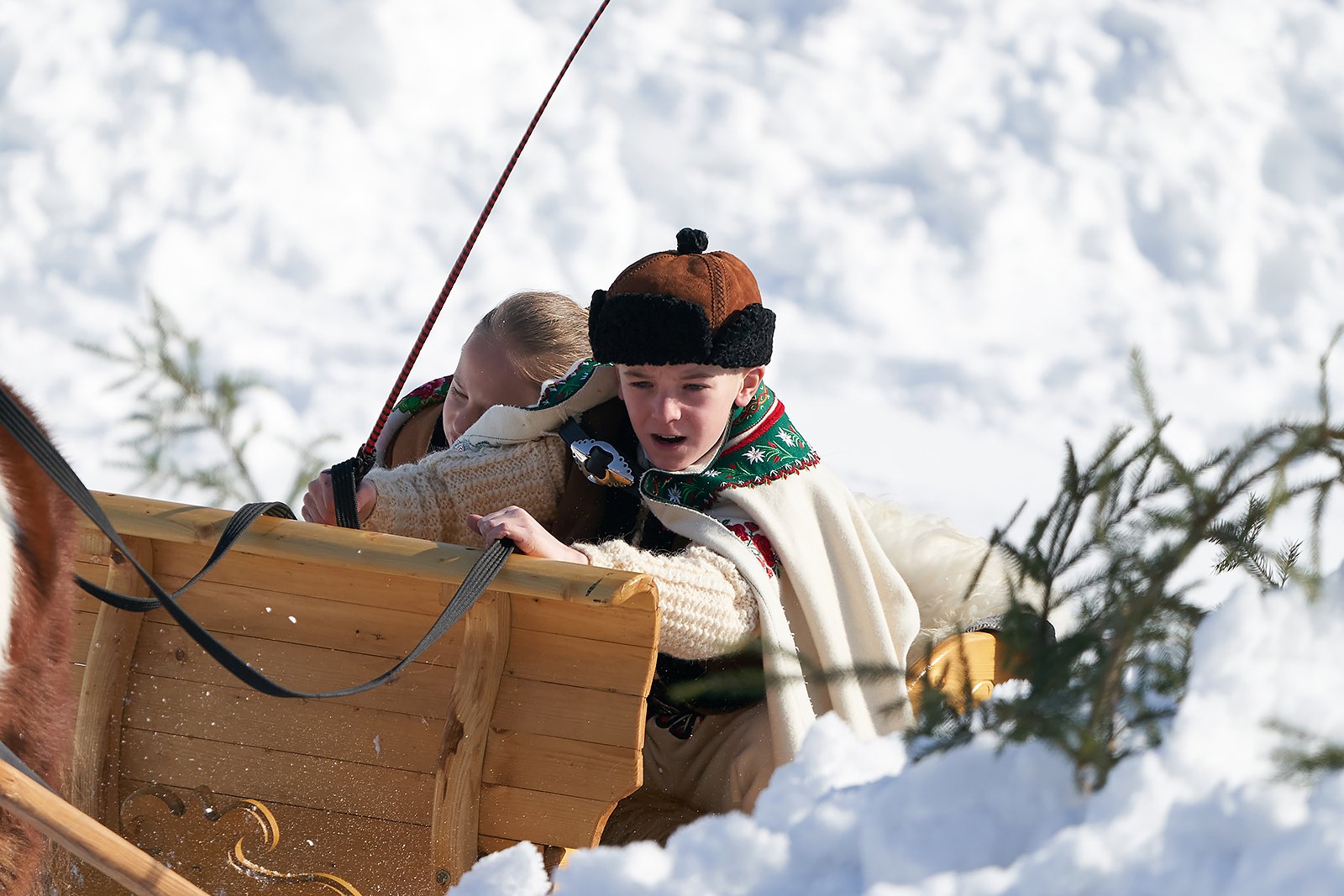 YIP031912020_02_09_kumoterki_bukowina