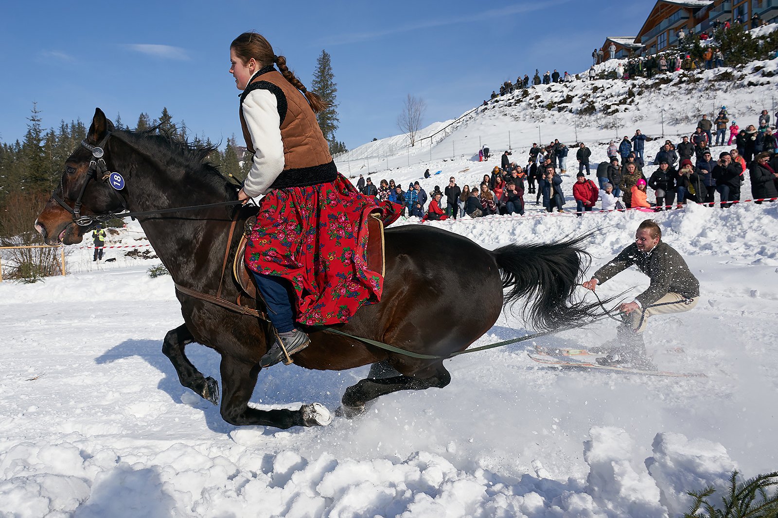 YIP035042020_02_09_kumoterki_bukowina