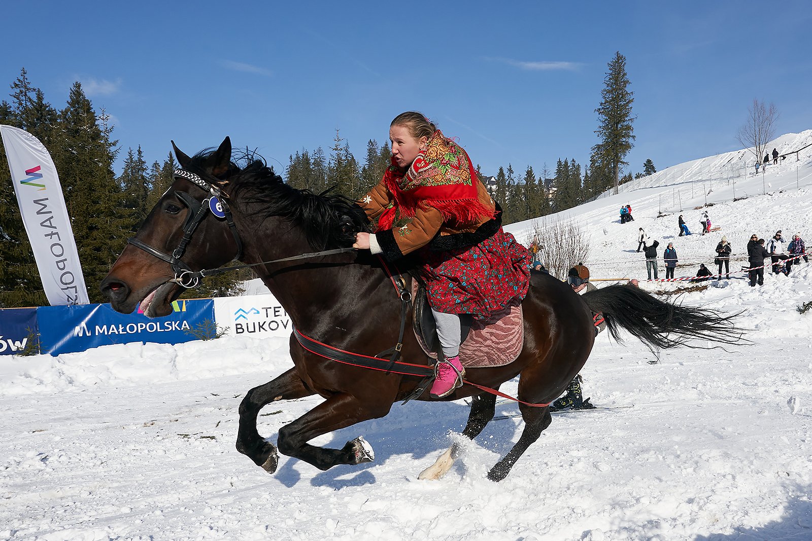 YIP035712020_02_09_kumoterki_bukowina