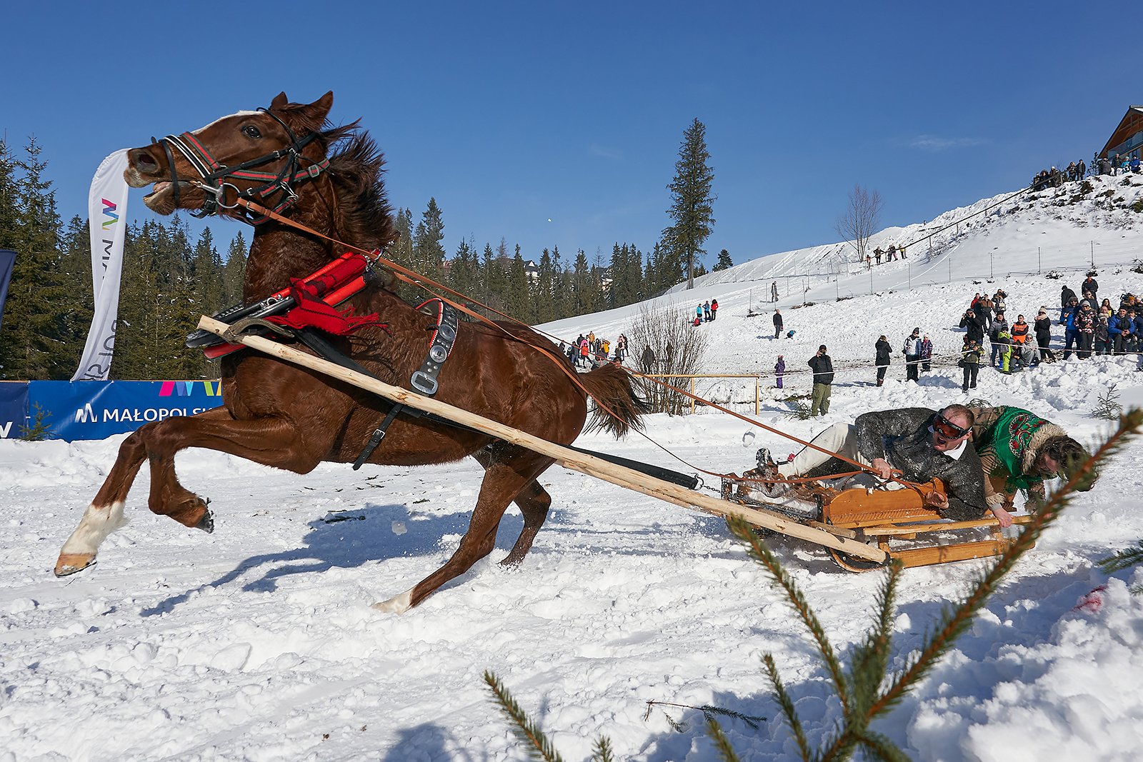 YIP037462020_02_09_kumoterki_bukowina