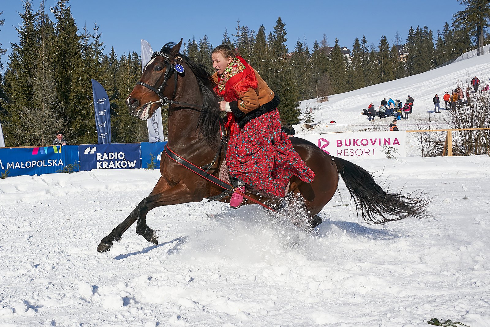 YIP038972020_02_09_kumoterki_bukowina