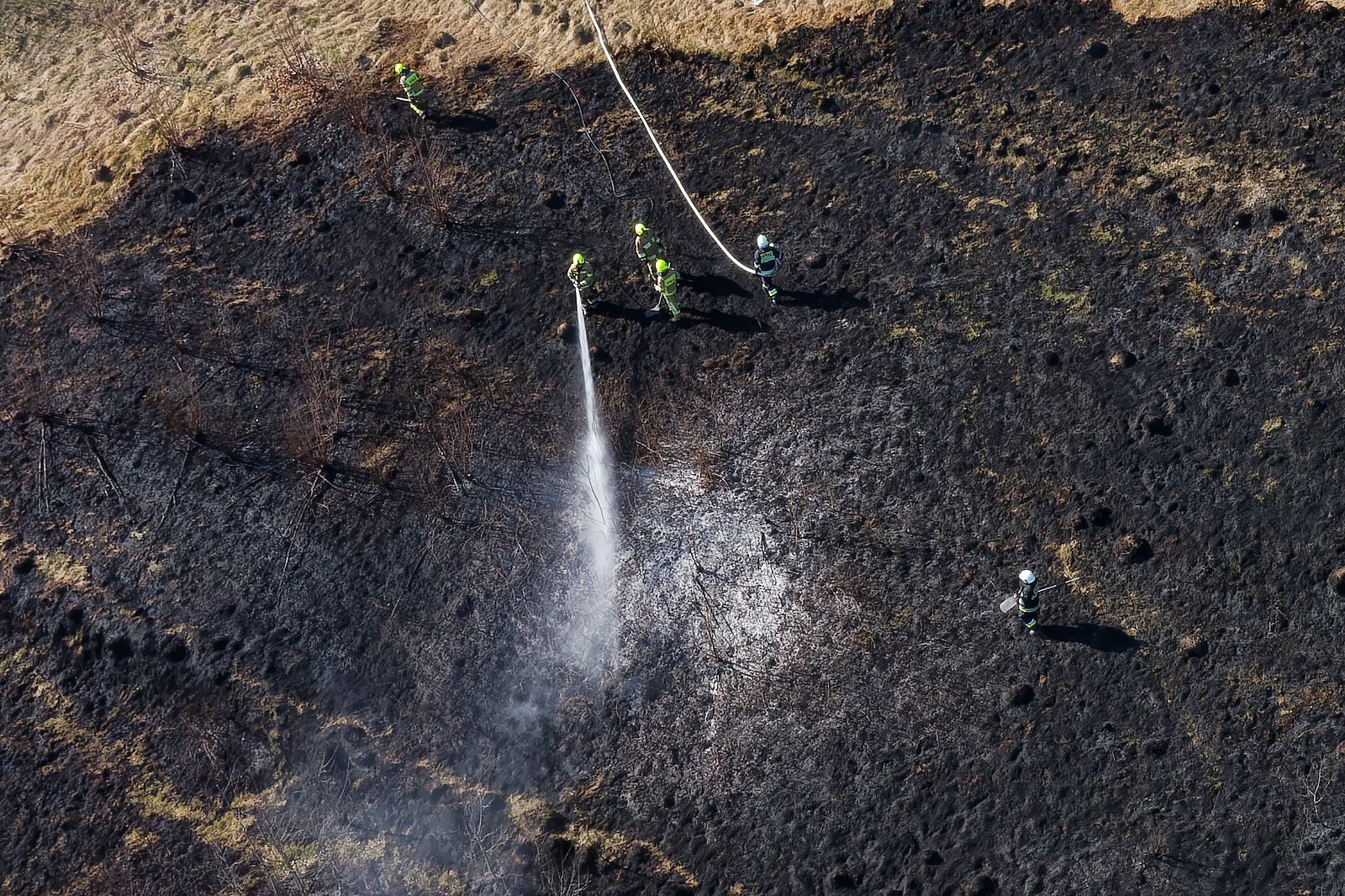 DJI_0342_DxO